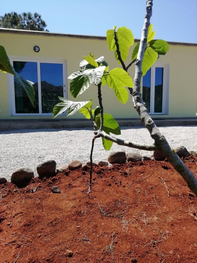 הוילה פורטו אזורו La Casa Dei Fichi מראה חיצוני תמונה
